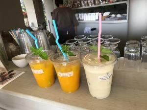 青島ハンモック