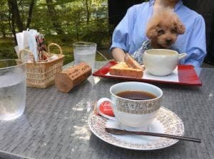 ザ・テラス・サクマ