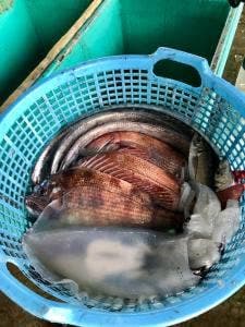 ばんやの湯
