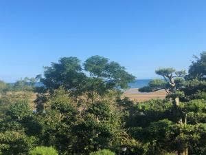 茶宗天地
