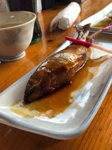 板取川 洞戸観光ヤナ