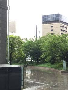 芝濱