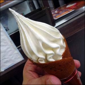 THE SOFTCREAM HOUSE