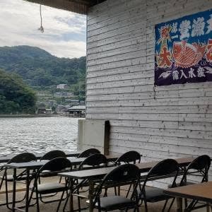 漁港めし
