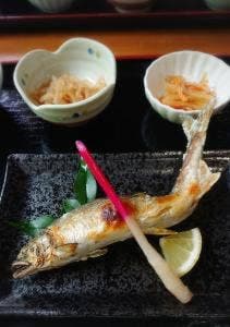 安居渓谷 宝来荘