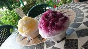 ぶどう狩り 盤峰園