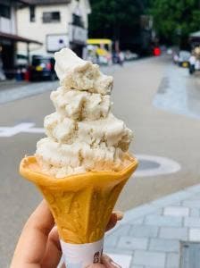 冨士屋観光センター