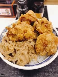 吉野家 環状通東店