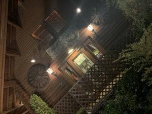 ラッキーバード