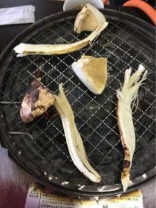 松茸山 鈴子山荘