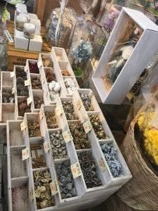 フルーツパーラー 柳井園芸