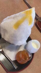 フライングガーデン 豊郷台店