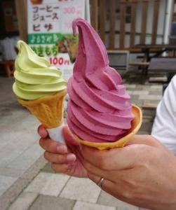 よもぎや 道の駅 天空の郷さんさん