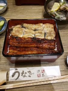 町田 うなぎ 流木