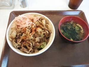 すき家 1国藤沢辻堂店