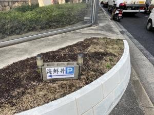 芦屋 海鮮丼 真一心