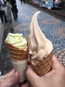 秋芳洞入口前売店