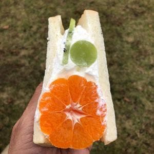 よしうみローズ館