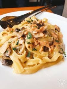 Wine Bar Pizzeria IL Boschetto