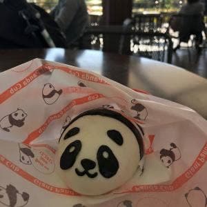 カフェ カメレオン