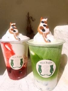 ミルクブッシュ