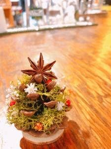 SMALL PINE craftbeer&kitchen