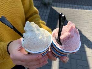 醍醐桜ジェラートショップ