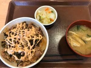 すき家 所沢下新井店