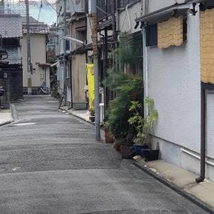 フユハルベーグル