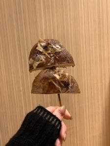 酒処 五泉
