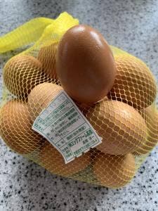 ろまんちっく村市場情報センターあおぞら館