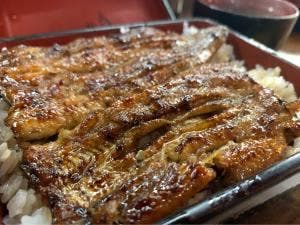 うなぎ 信濃屋