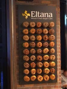 Eltana FLIGHT OF DREAMS