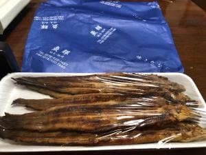 魚輝
