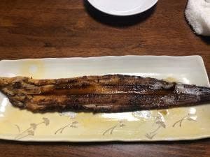 魚輝