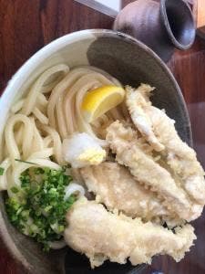 うどん麺こい