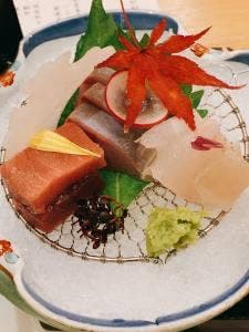 もちの木