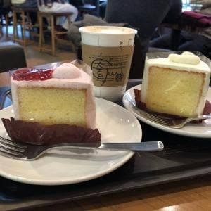 スターバックス コーヒー 神宮前6丁目店