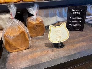 & ANTIQUE 栄店