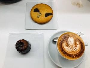 MODOO’S COFFEE BREWERS