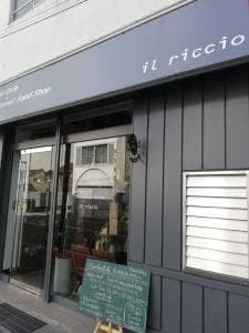 il riccio