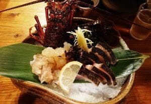 魚小屋よしき