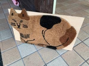 にゃんこあん