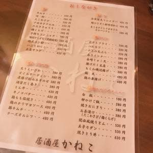 居酒屋かねこ