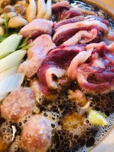 ウェルかも美山