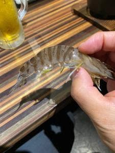魚男