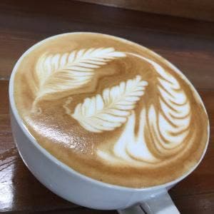 BEAR COFFEE