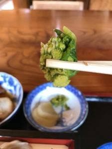 八溝しいたけ ますや