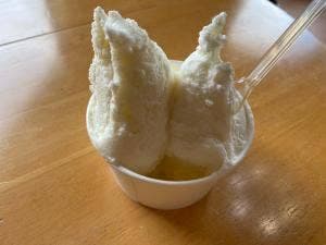 橋本牧場 イタリアンジェラート アイス工房