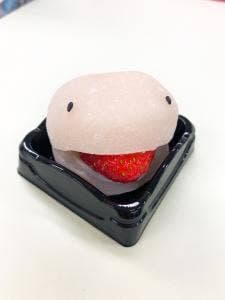 和洋菓子 EDO USAGI